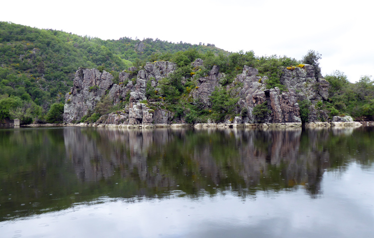 Sur la Loire, rochers et genêts